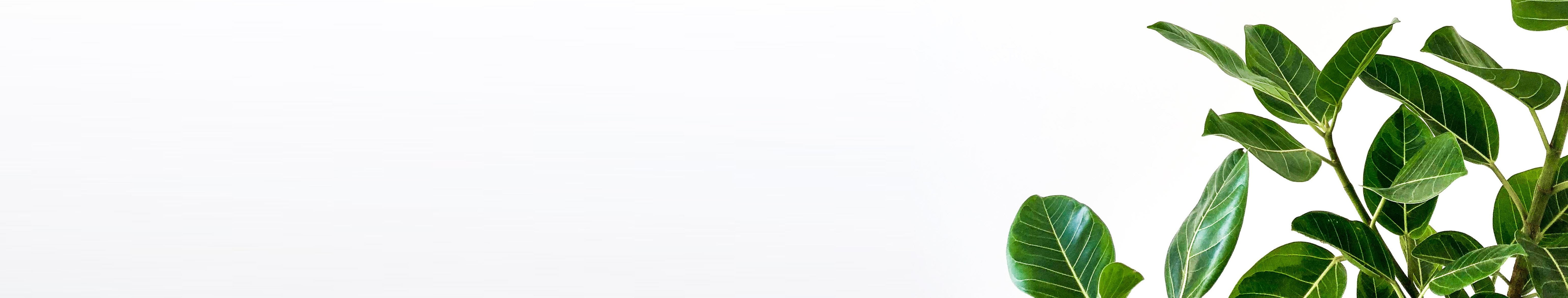 Datenschutzerkl&auml;rung